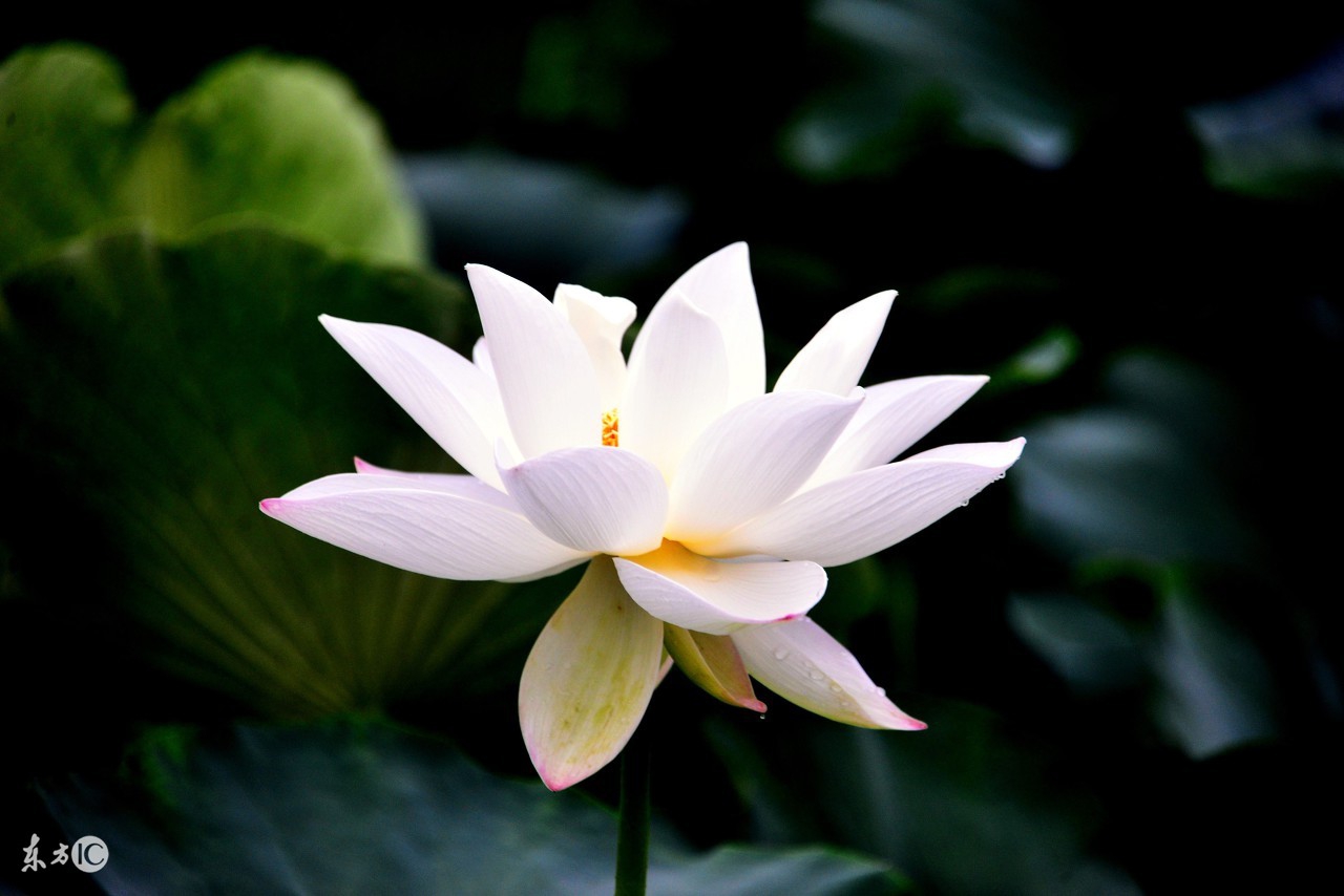 告别色斑暗沉好方法分享给大家,色斑暗沉用什么药