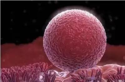 性激素六项为什么要在月经期查,为什么查性激素六项和卵巢功能