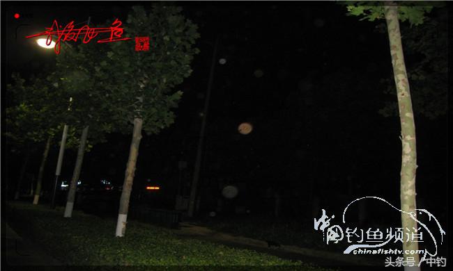 夜钓继续过小瘾,回家煲煲爱心粥
