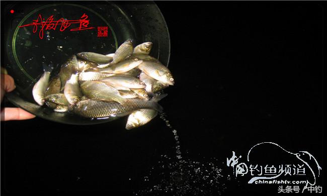 夜钓继续过小瘾,回家煲煲爱心粥