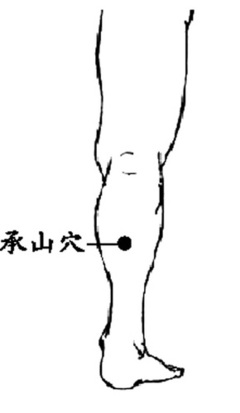 人体穴位大全全身高清穴位图,全身最重要的74个穴位讲解附图