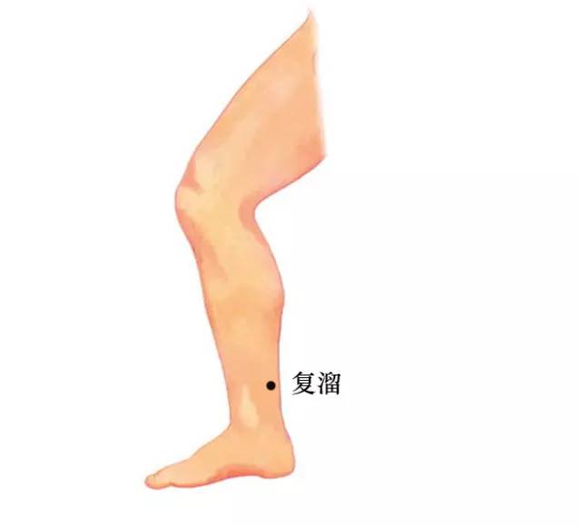 人体穴位大全全身高清穴位图,全身最重要的74个穴位讲解附图