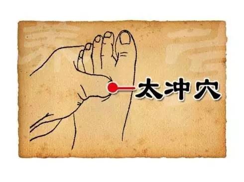 人体穴位大全全身高清穴位图,全身最重要的74个穴位讲解附图