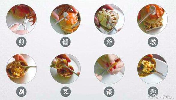 螃蟹知识,螃蟹科普小知识