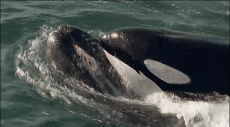 等了你十七年,等了17年