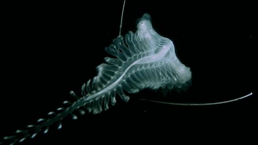 等了你十七年,等了17年