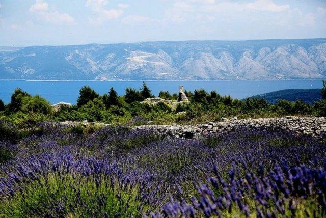 克罗地亚惊艳世界,克罗地亚狂想曲与空中之城