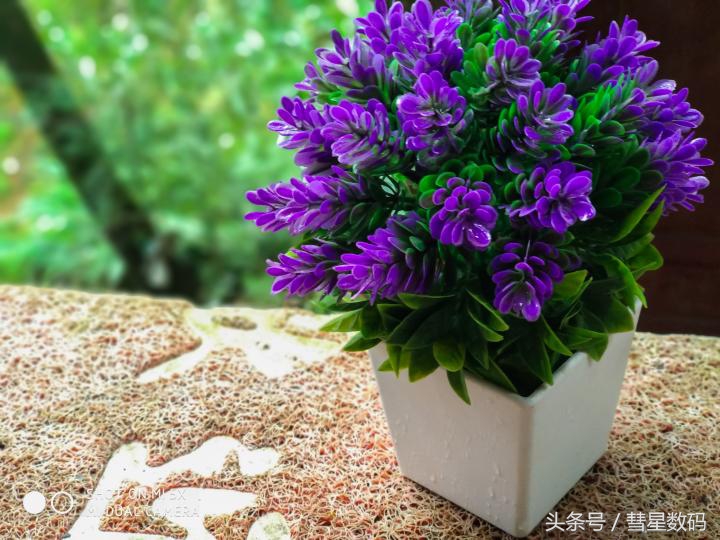 灏忕背5鍒嗕韩,鍒嗕韩5s鍐呭