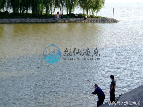 草鱼垂钓技巧,水库钓鱼草鱼绝招