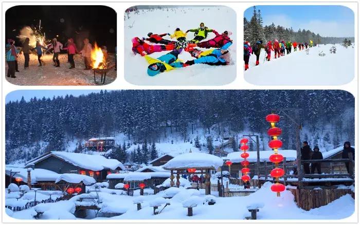 东北看雪旅游攻略哈尔滨,冬季到东北来看雪