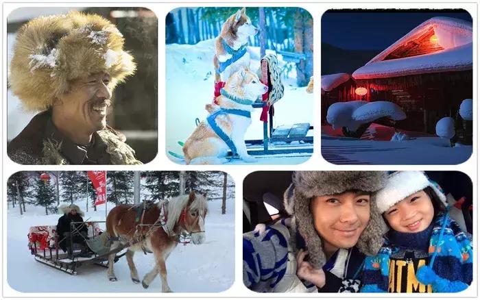 东北看雪旅游攻略哈尔滨,冬季到东北来看雪