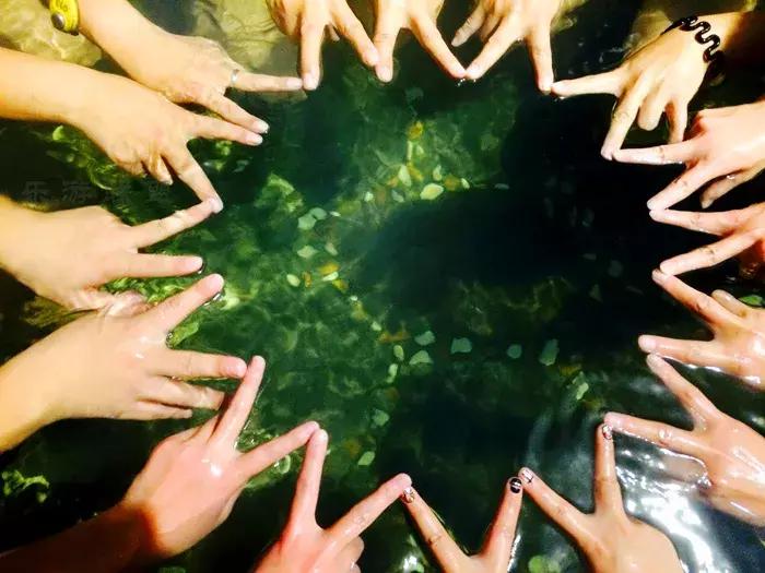 东北看雪旅游攻略哈尔滨,冬季到东北来看雪