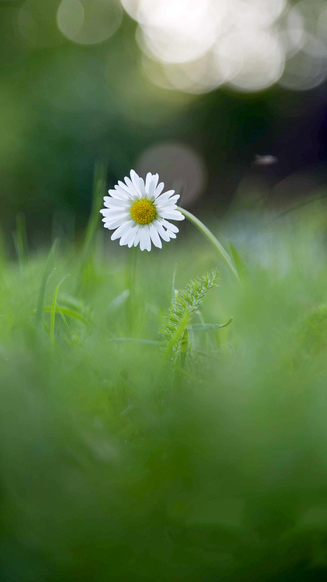 锁屏和桌面壁纸一套唯美,4k佛系唯美意境黑色锁屏壁纸