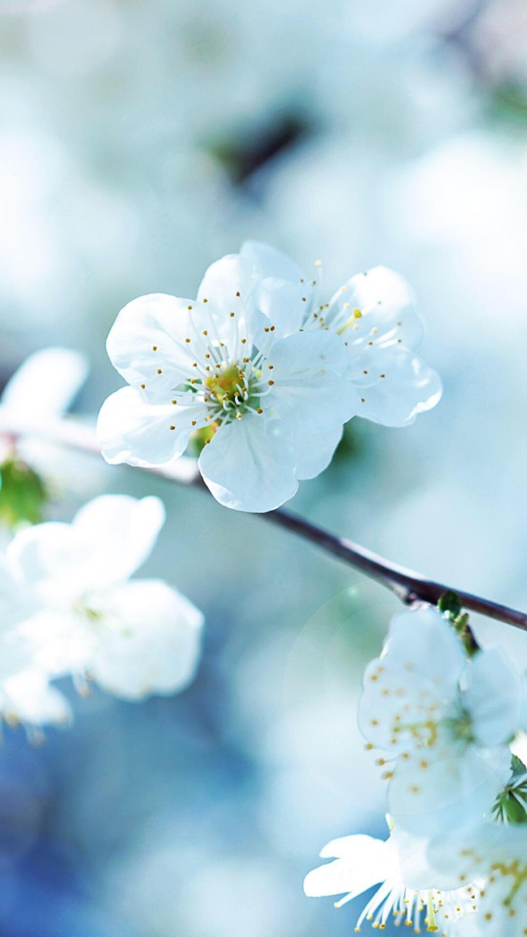 锁屏和桌面壁纸一套唯美,4k佛系唯美意境黑色锁屏壁纸