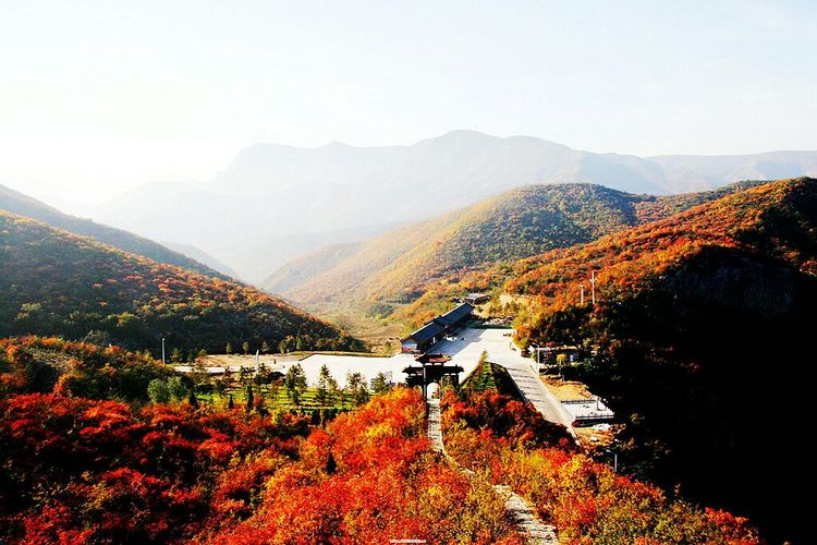 秋韵流过的晋城红