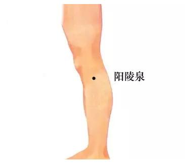 人体穴位大全全身高清穴位图,全身最重要的74个穴位讲解附图