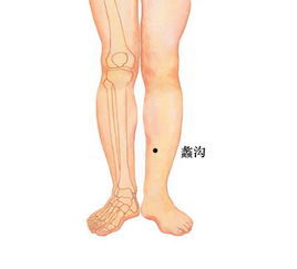 人体穴位大全全身高清穴位图,全身最重要的74个穴位讲解附图