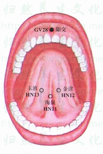人体穴位大全全身高清穴位图,全身最重要的74个穴位讲解附图