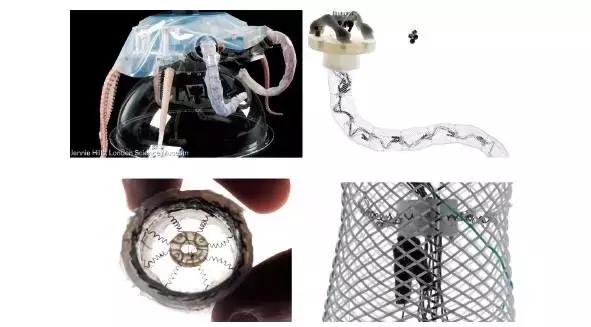 软体机器人的前沿与展望,软体机器人设计与理论的就业前景