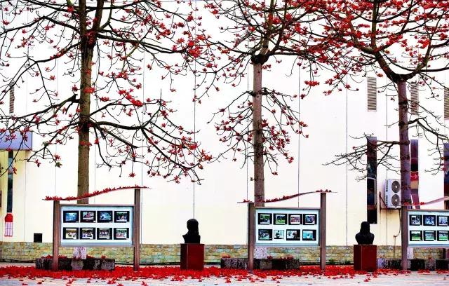 柳州市第十二中学农志勋,柳州市第十二中学许尧