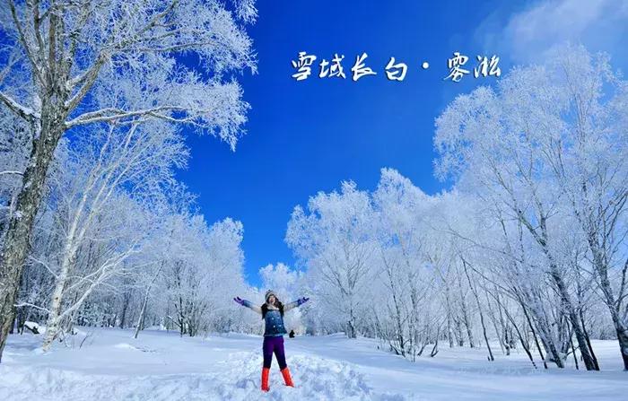 东北看雪旅游攻略哈尔滨,冬季到东北来看雪