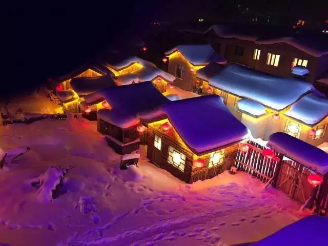 东北看雪旅游攻略哈尔滨,冬季到东北来看雪