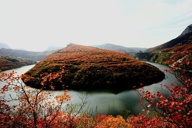 秋韵流过的晋城红