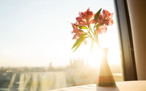 癌症不治疗就是最好的治疗,治疗癌症的最好的药