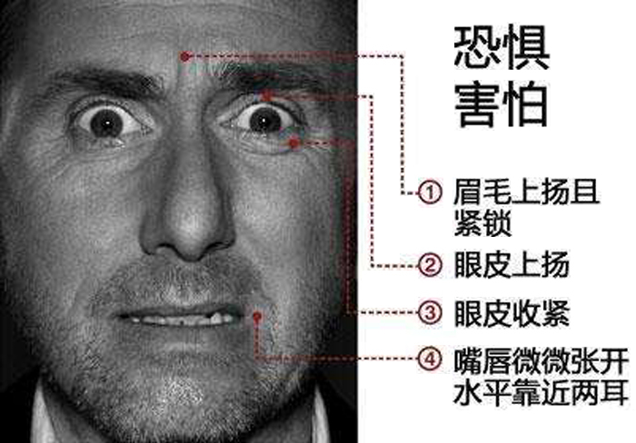 出租房子不放心,如何选择靠谱租客?