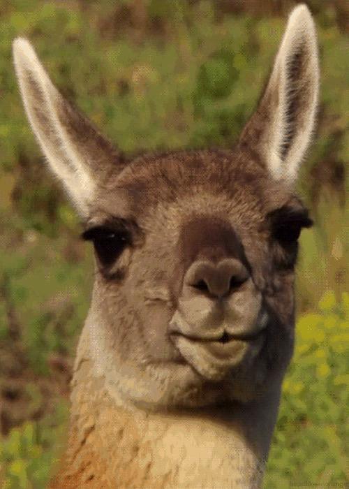 学历真的那么重要吗知乎,学历真的那么重要吗图片