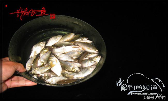 夜钓继续过小瘾,回家煲煲爱心粥