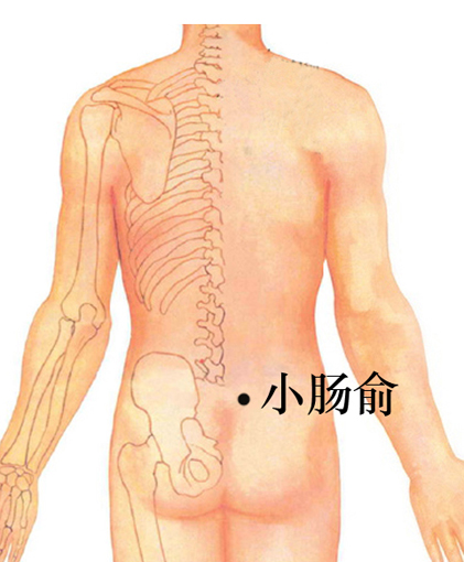 人体穴位大全全身高清穴位图,全身最重要的74个穴位讲解附图