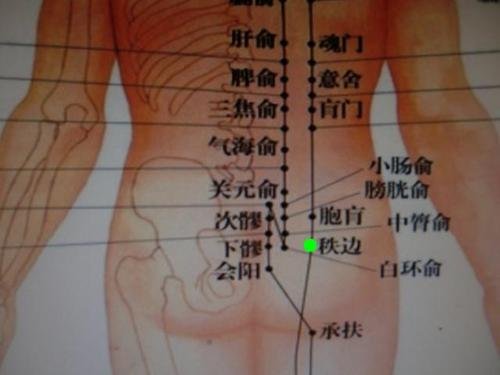 人体穴位大全全身高清穴位图,全身最重要的74个穴位讲解附图