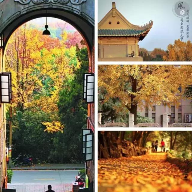 深圳高铁旅游路线分布图,深圳高铁能到达的旅游城市