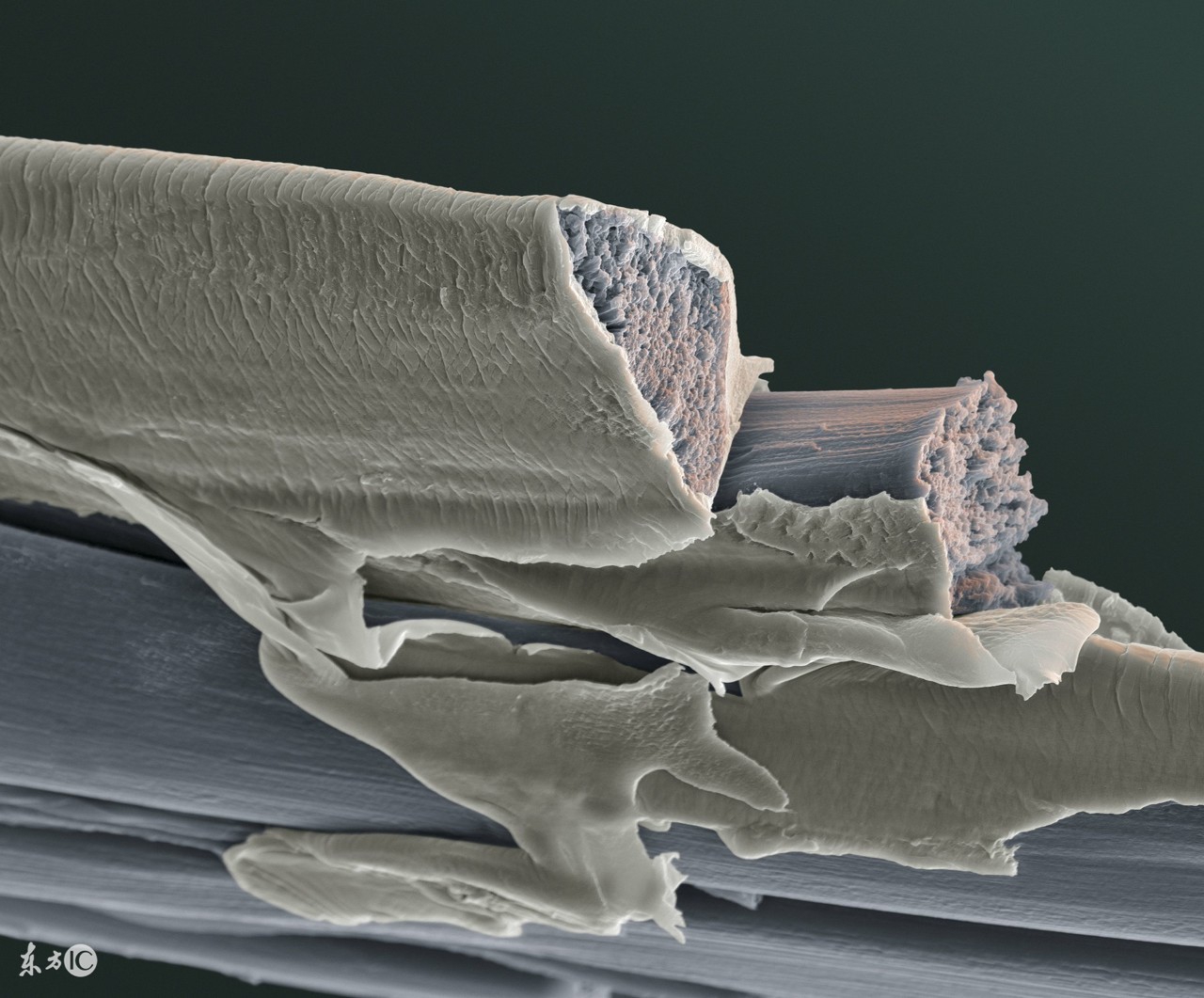 女人吃皮蛋有什么好处与坏处,皮蛋对肺结节肝囊肿有坏处吗