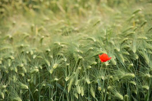 如果可以全款买房你会选择按揭吗,如果可以全款买房你会按揭吗