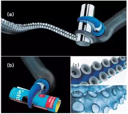 软体机器人的前沿与展望,软体机器人设计与理论的就业前景