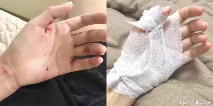 《快乐星球》的他家暴SNH48的她,不仅出轨甚至连猫都不放过!