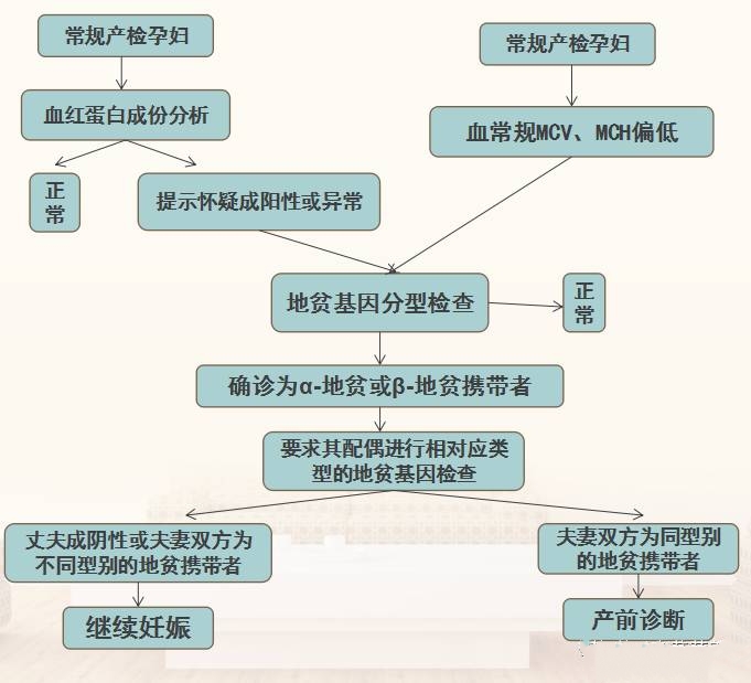 孕期甲减糖尿病地中海贫血,孕期地中海贫血症状和危害