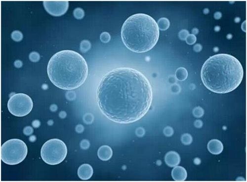 胎盘干细胞储存,胎盘储存干细胞