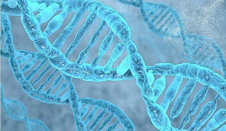 螺旋宇宙的奥秘,螺旋的未解之谜