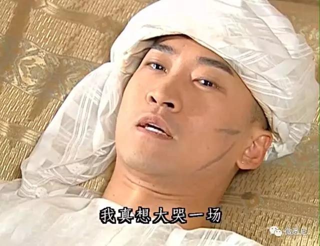 澳洲新南威尔士语言直升班通过率,澳洲语言直升班