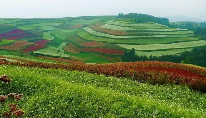 农村承包地经营权流转的重点步骤,在外打工农民土地确权