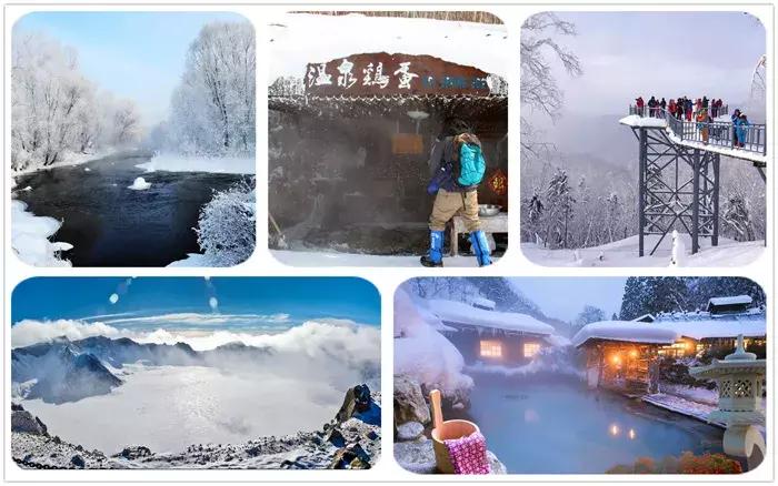 东北看雪旅游攻略哈尔滨,冬季到东北来看雪