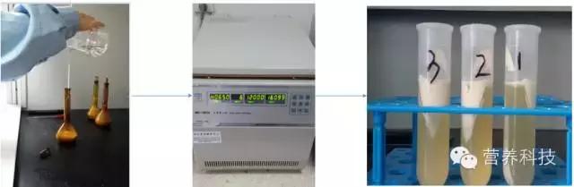 营养元素检测,检测蔬菜中常见的维生素c实验