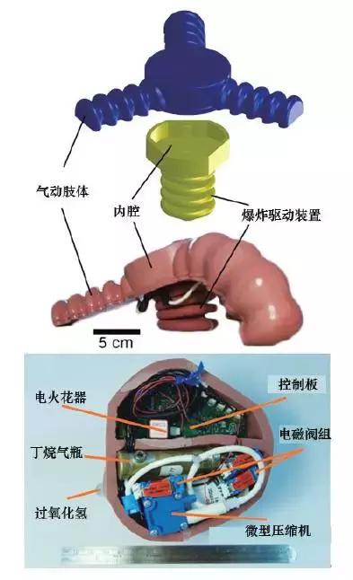 软体机器人的前沿与展望,软体机器人设计与理论的就业前景
