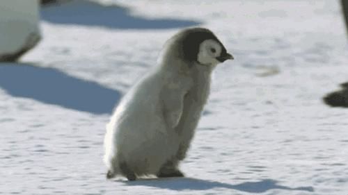 作妖美妆,作妖不断完整版