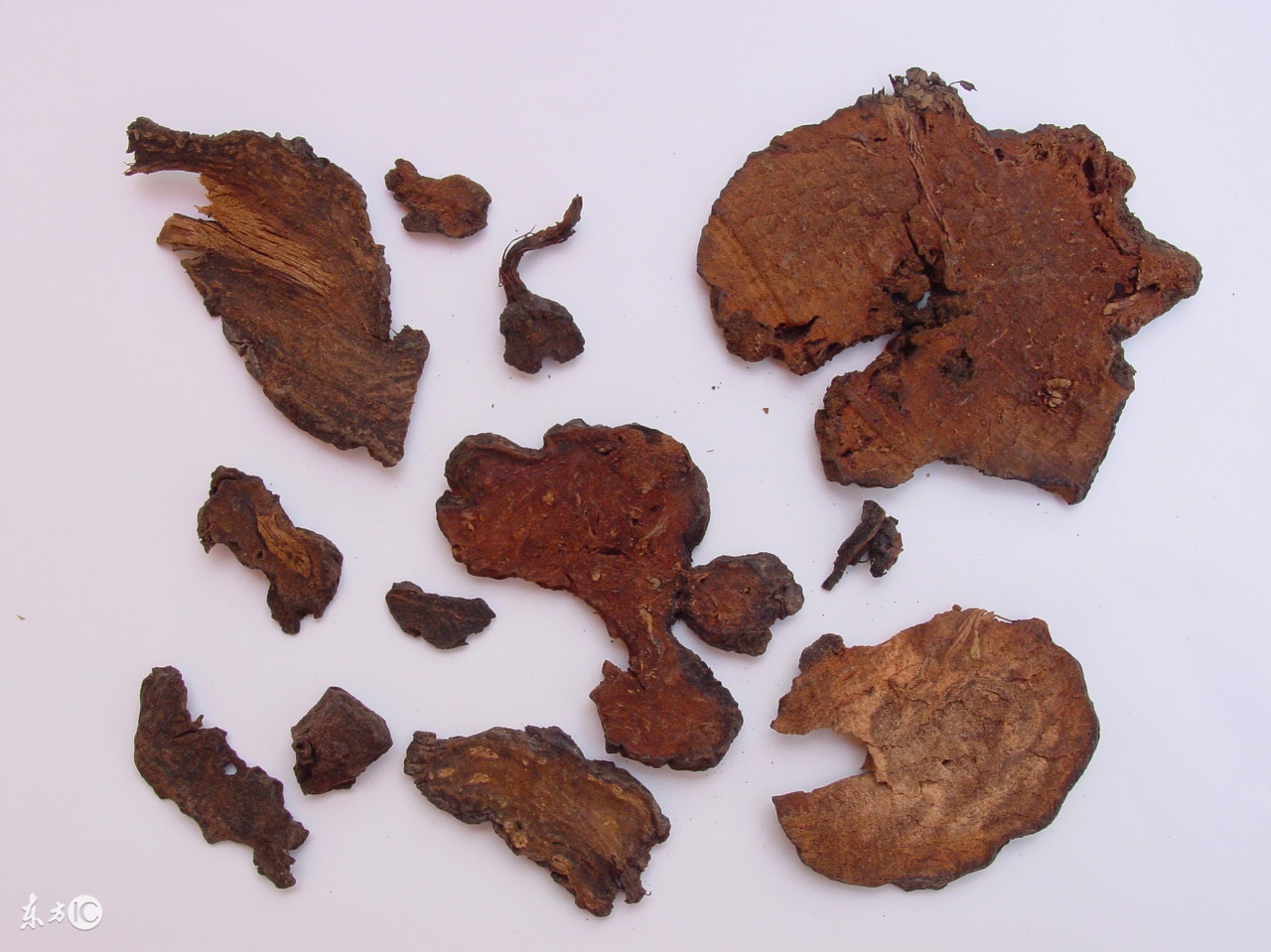 喝何首乌中药有没有副作用,何首乌副作用与功效