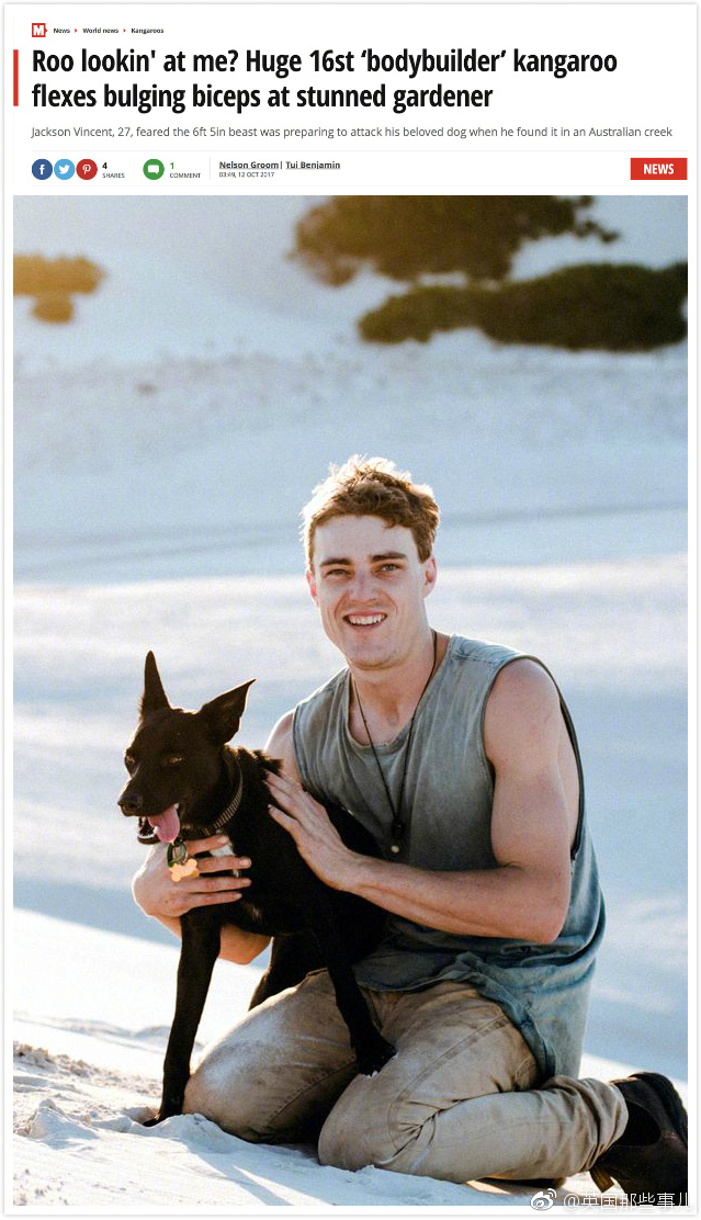 野外溪边遇见袋鼠！选择正面刚！还是马上溜？