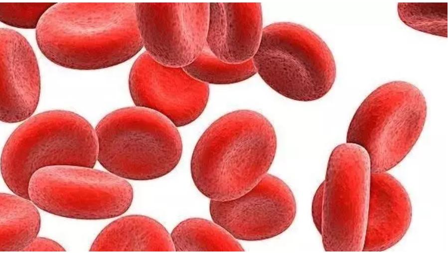 孕期甲减糖尿病地中海贫血,孕期地中海贫血症状和危害